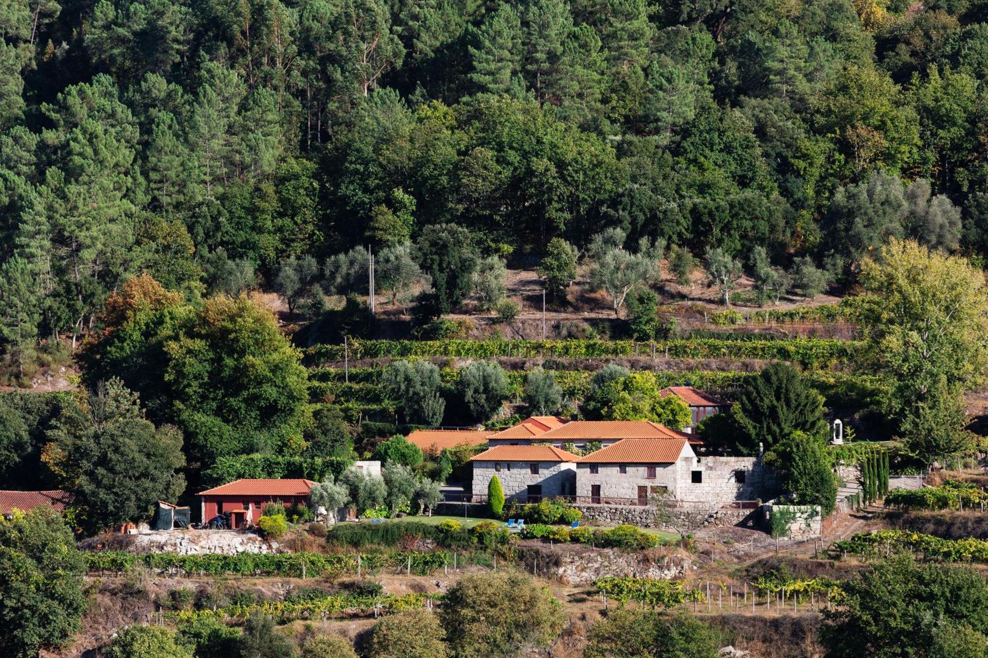 Quinta Da Pousadela - Agroturismo Guest House Amarante Ngoại thất bức ảnh